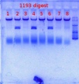 Thumbnail for version as of 13:07, 29 May 2012