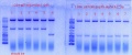 Thumbnail for version as of 14:22, 7 June 2012
