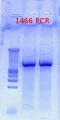 Thumbnail for version as of 09:29, 4 December 2012
