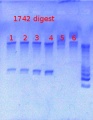 Thumbnail for version as of 12:20, 3 May 2013