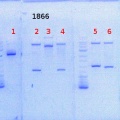 Thumbnail for version as of 13:45, 19 September 2013