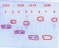 Thumbnail for version as of 14:08, 9 April 2014