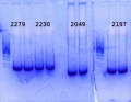 Thumbnail for version as of 16:59, 28 July 2014