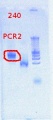 Thumbnail for version as of 15:13, 11 October 2012