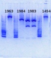 Thumbnail for version as of 14:54, 17 January 2014
