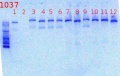 Thumbnail for version as of 14:28, 11 June 2012
