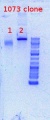 Thumbnail for version as of 14:33, 1 May 2012