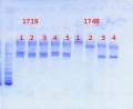 Thumbnail for version as of 08:44, 12 July 2013