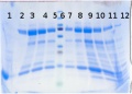 Thumbnail for version as of 17:14, 11 August 2014