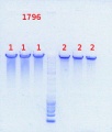 Thumbnail for version as of 14:54, 16 July 2013