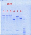 Thumbnail for version as of 16:14, 11 October 2013