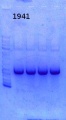 Thumbnail for version as of 15:11, 6 December 2013