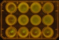 Thumbnail for version as of 11:54, 11 January 2012