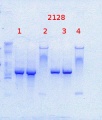 Thumbnail for version as of 11:03, 28 March 2014