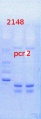 Thumbnail for version as of 15:09, 15 April 2014