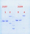 Thumbnail for version as of 14:58, 7 April 2014