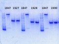 Thumbnail for version as of 15:29, 27 November 2013