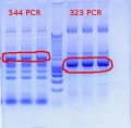 Thumbnail for version as of 15:06, 30 January 2012