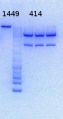 Thumbnail for version as of 09:57, 17 October 2013