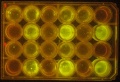 Thumbnail for version as of 16:49, 26 November 2018