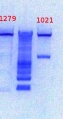 Thumbnail for version as of 17:37, 27 December 2012