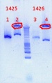 Thumbnail for version as of 14:05, 24 October 2012