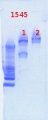 Thumbnail for version as of 16:42, 31 January 2013