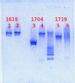 Thumbnail for version as of 16:31, 23 April 2013