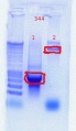 Thumbnail for version as of 15:13, 5 October 2011