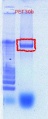 Thumbnail for version as of 14:52, 18 October 2011