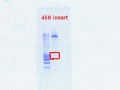 Thumbnail for version as of 15:56, 21 December 2011