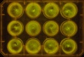 Thumbnail for version as of 11:31, 28 December 2011
