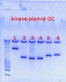 Thumbnail for version as of 08:53, 1 November 2012