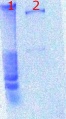 Thumbnail for version as of 17:52, 24 June 2011