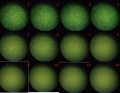 Thumbnail for version as of 11:51, 28 November 2011