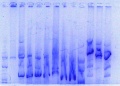 Thumbnail for version as of 12:45, 27 October 2018