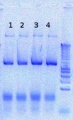 Thumbnail for version as of 16:01, 9 August 2012