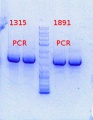 Thumbnail for version as of 14:14, 1 November 2013