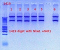 Thumbnail for version as of 14:55, 20 October 2012