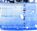 Thumbnail for version as of 18:36, 26 September 2019