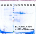 Thumbnail for version as of 15:30, 16 July 2013