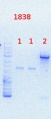 Thumbnail for version as of 13:31, 9 September 2013