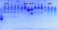 Thumbnail for version as of 13:55, 4 November 2013