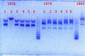 Thumbnail for version as of 11:28, 13 December 2013