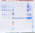 Thumbnail for version as of 20:07, 25 February 2013