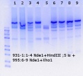 Thumbnail for version as of 14:52, 10 July 2018