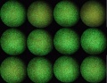 Thumbnail for version as of 09:57, 28 April 2011