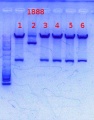 Thumbnail for version as of 14:46, 25 October 2013