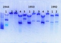 Thumbnail for version as of 14:55, 17 January 2014