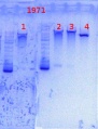 Thumbnail for version as of 11:15, 13 December 2013